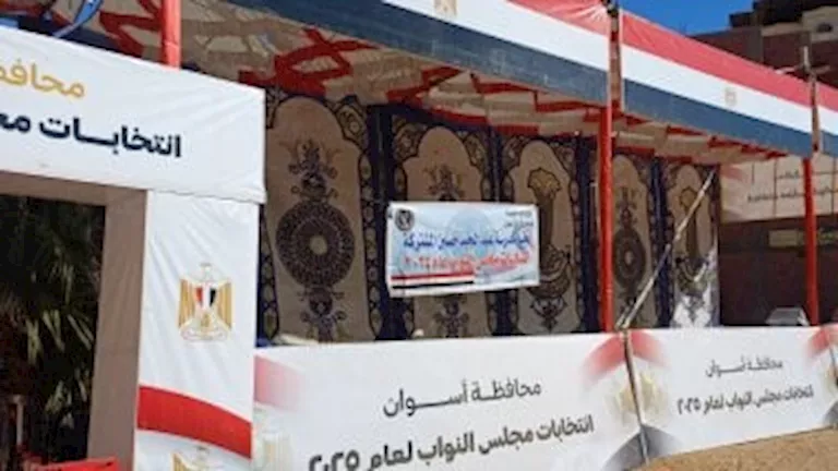 انتخابات النواب 2025.. الحصر العددي للدائرة الثالثة بنصر النوبة في أسو