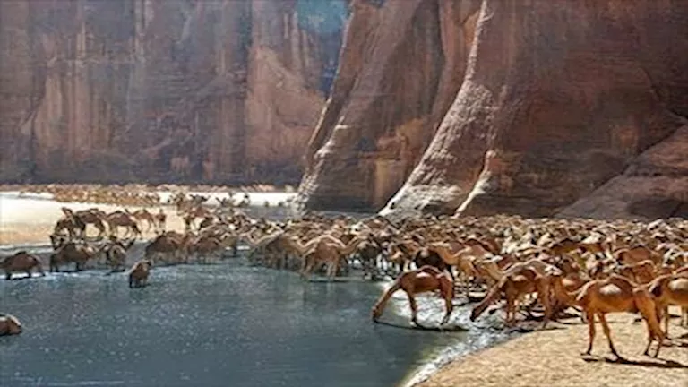 قائمة أسعار رسوم زيارة المحميات الطبيعية بسيناء بعد زيادتها- مستند 