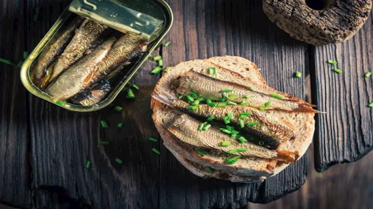 وجبة صحية في علبة واحدة.. لماذا ينصح الأطباء بتناول السردين؟ 