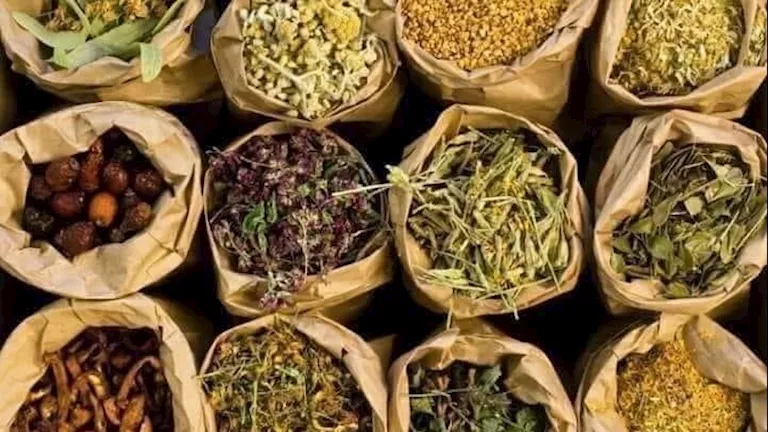 أعشاب تدمر الكلى وأخرى تحميها.. "توخى الحذر قبل التناول" 