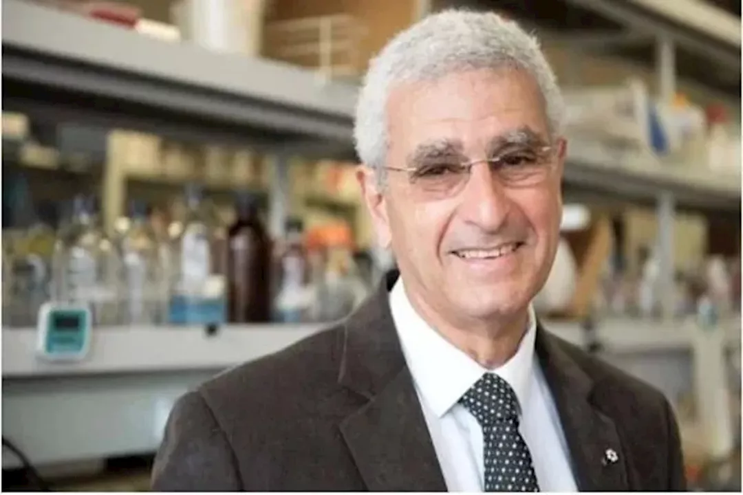 "السر في النكتة".. عالم في مونتريال يكشف سبب التوازن النفسي لدى المصريين