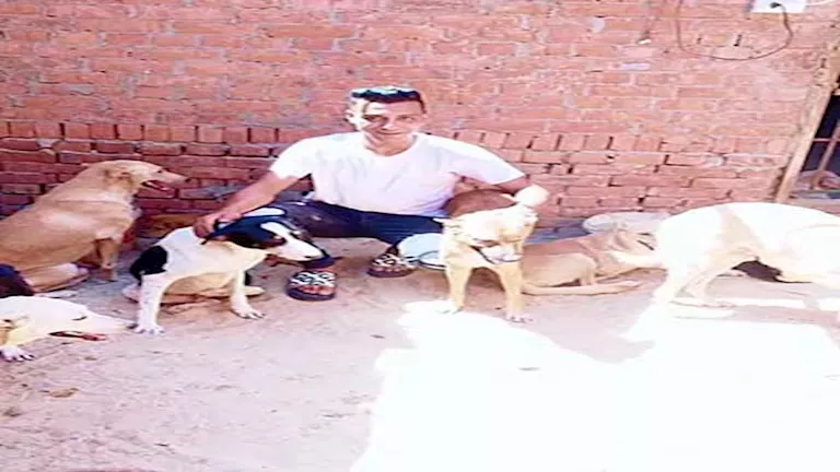 “استدرجوه بحيلة”.. تجديد حبس المتهمين بقتل صاحب ملجأ الحيوانات بالشرقي