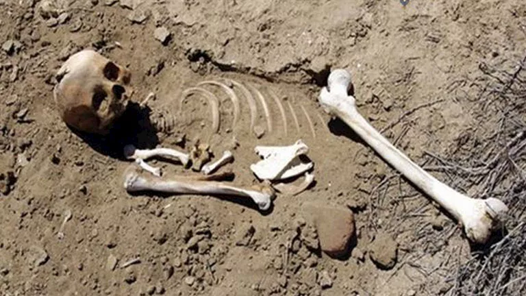 نزاع عائلي.. حقيقة سرقة رفات الموتى من مقابر الخصوص