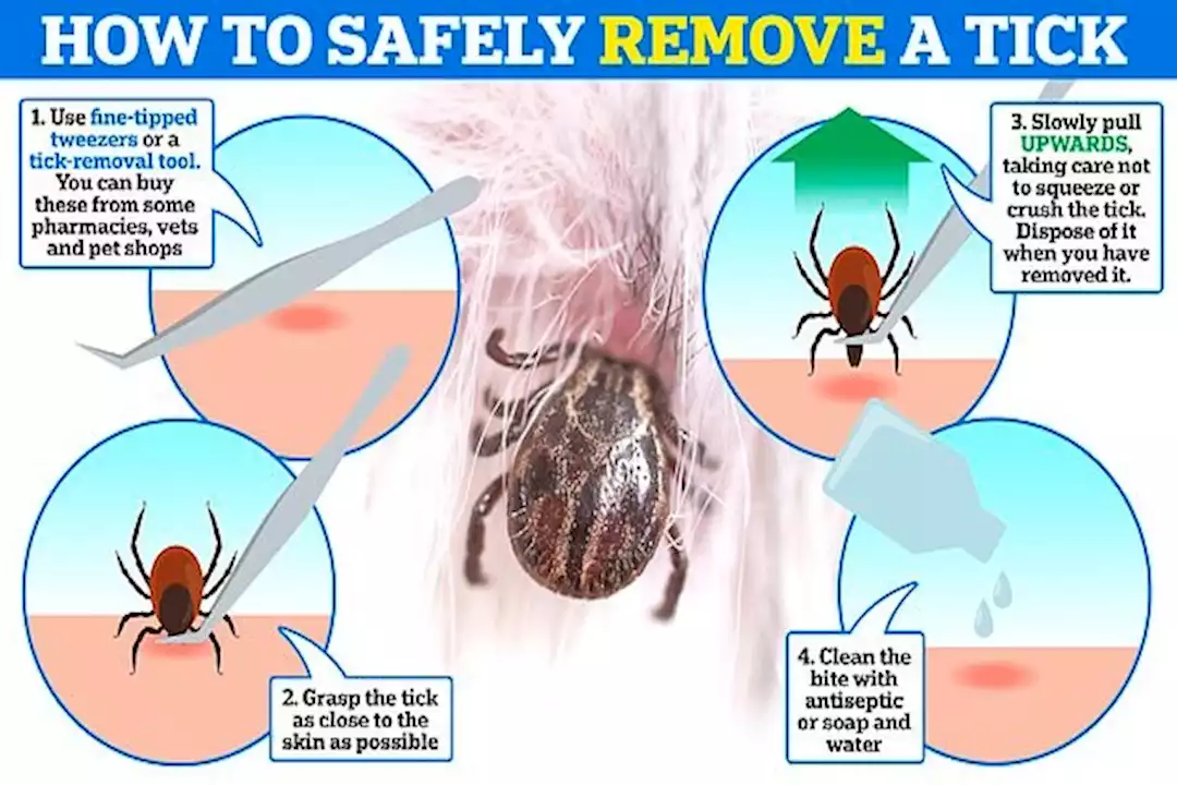 69511179-14406171-Getting_rid_of