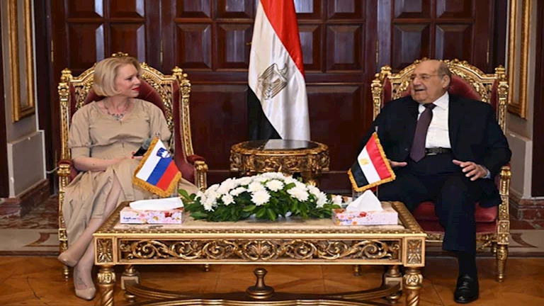 تفاصيل لقاء رئيس مجلس الشيوخ برئيسة الجمعية الوطنية السلوفين