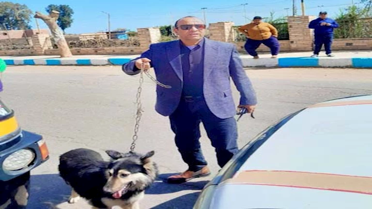 شاب يروع الطلاب ويعاكس الفتيات بكلب شرس في الدقهلية.. وتحرك
