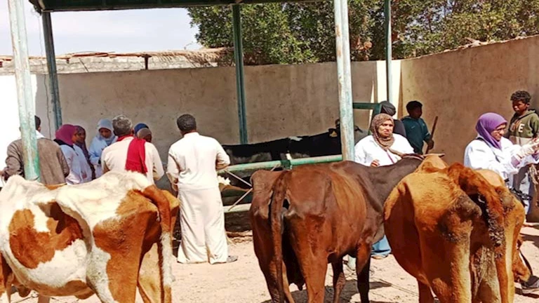 الثروة الحيوانية