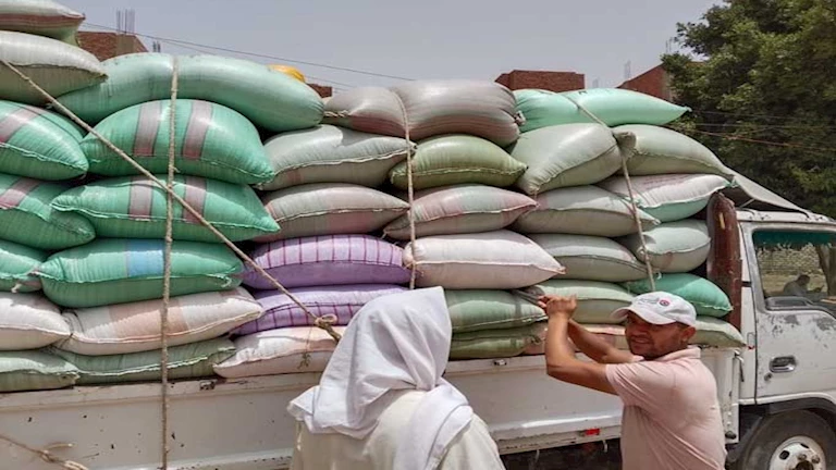 محافظ المنيا يعلن توريد أكثر من 343 ألف طن قمح منذ بداية الموسم