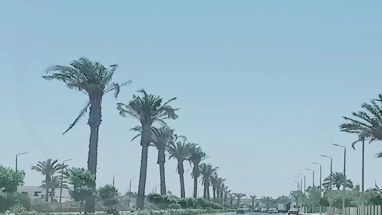 حال الطقس.. الأرصاد: موعد بداية تحسن الجو وأمطار على هذه المناطق