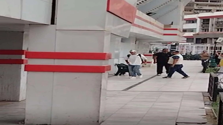 "تفتكروا قاله إيه".. تعليق مثير للجدل من عمرو أديب على عودة زيزو لتدريبات الزمالك