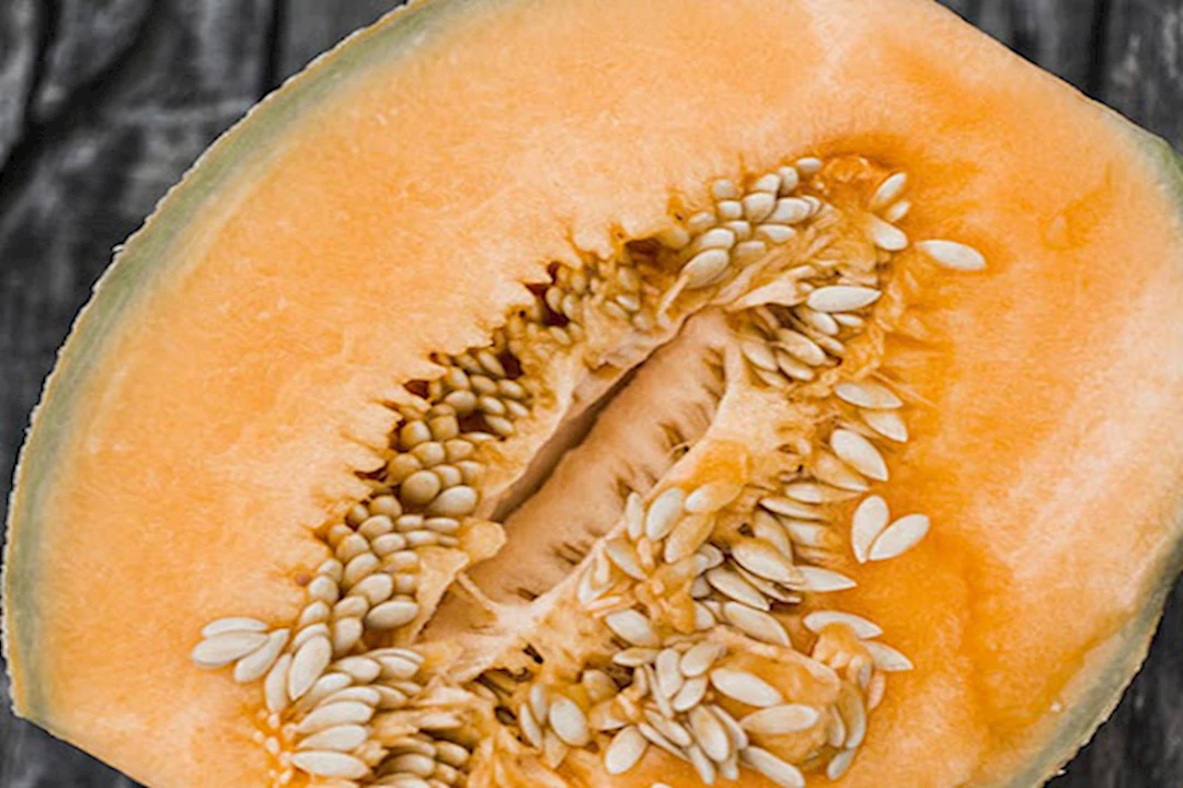 بذور الشمام