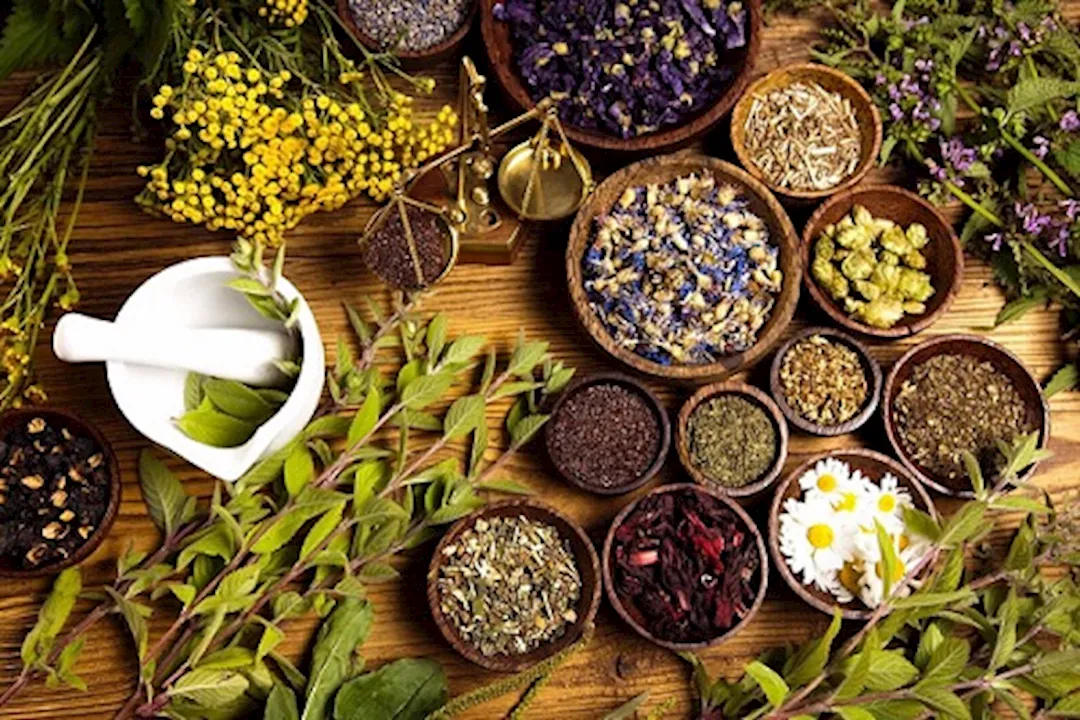 أعشاب لزيادة التركيز