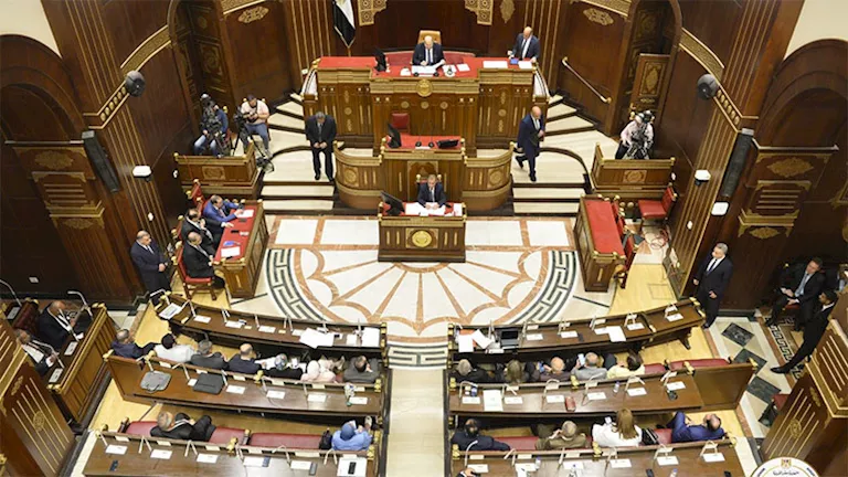 برلماني: مصر قدمت نموذجًا إنسانيًا وسياسيًا في دعم غزة