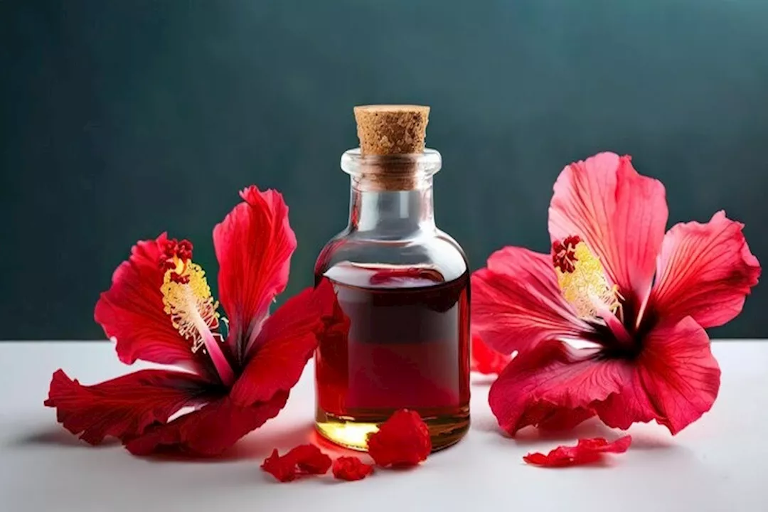 زيت الكركديه للشعر