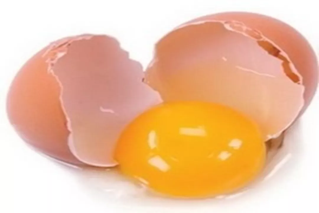 صفار البيض