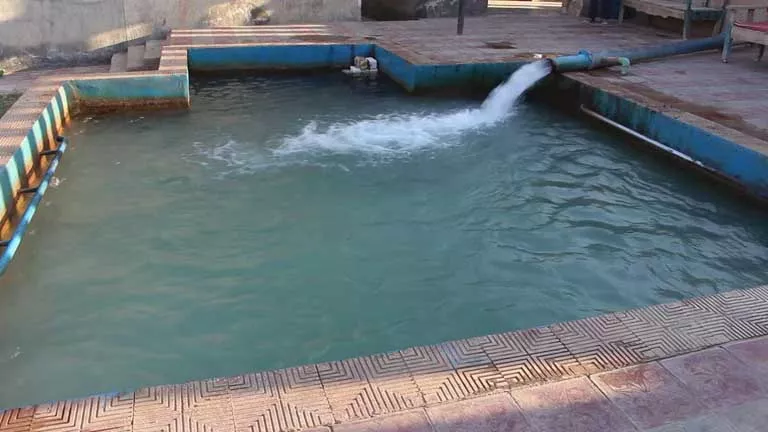 منتج يحوّل الوادي الجديد إلى بوابة للسياحة العلاجية (صور)