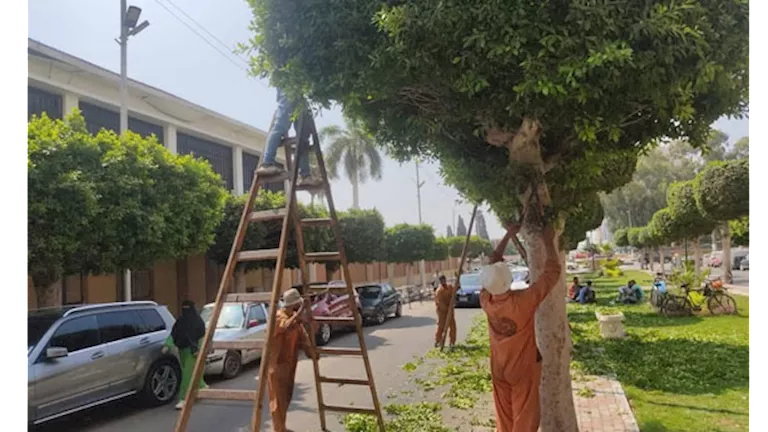 الإسماعيلية تتجمل.. استمرار أعمال جهاز التطوير لتحسين المشهد