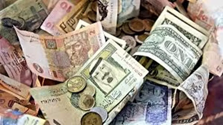 انخفاض أسعار 5 عملات عربية مقابل الجنيه خلال تعاملات اليوم 29-7-2025