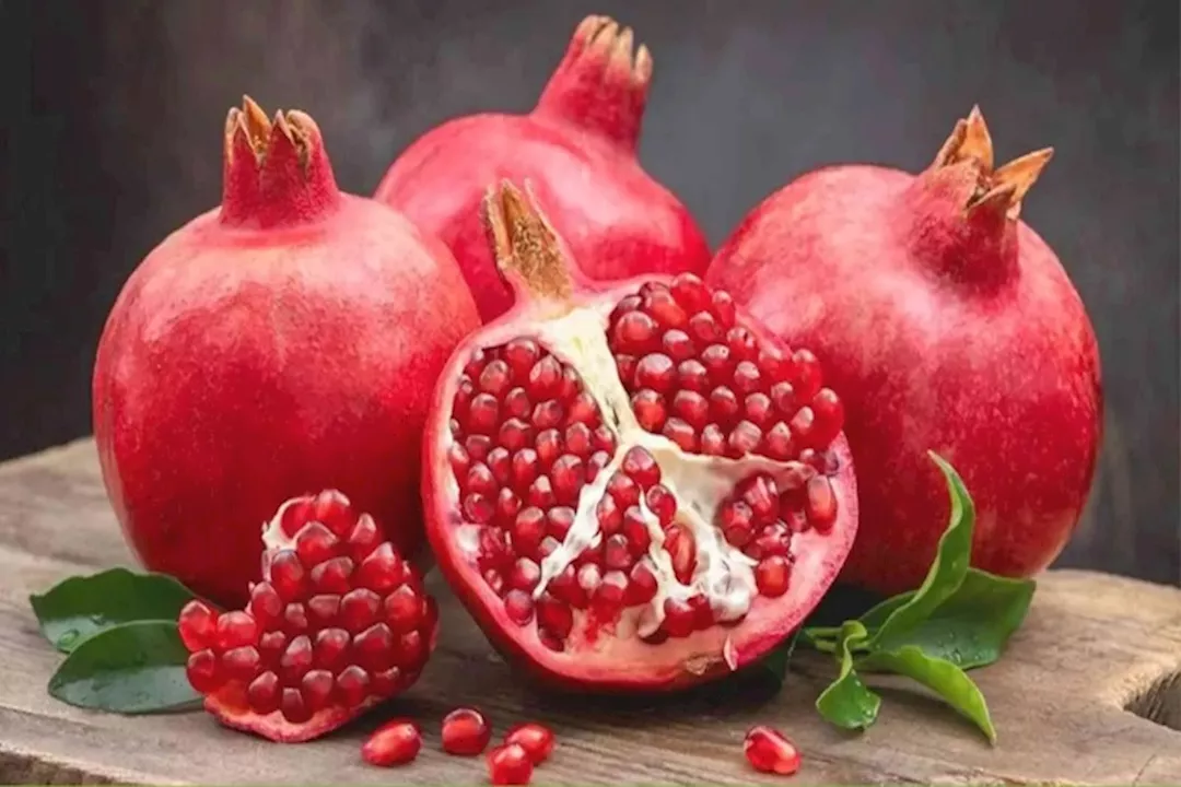 الرمان