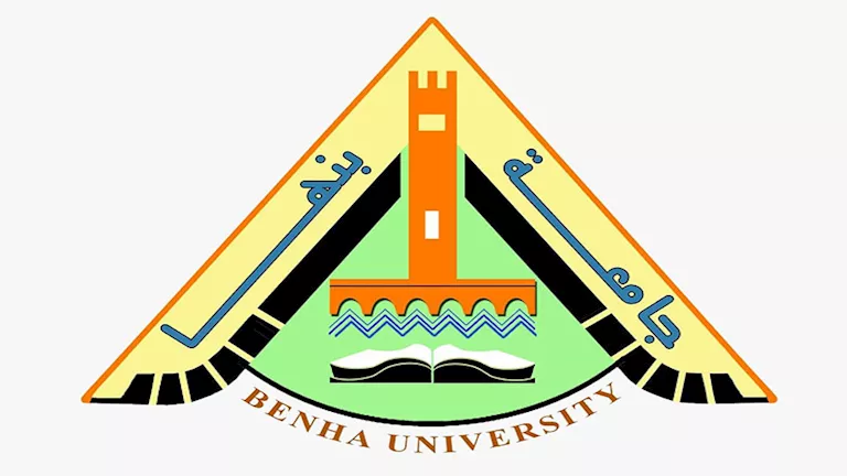تعاون أكاديمي دولي.. مدرسة صيفية بين جامعتي بنها ووسط الصين
