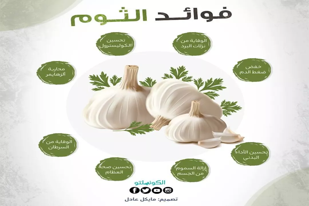 2019_3_22_16_0_52_753