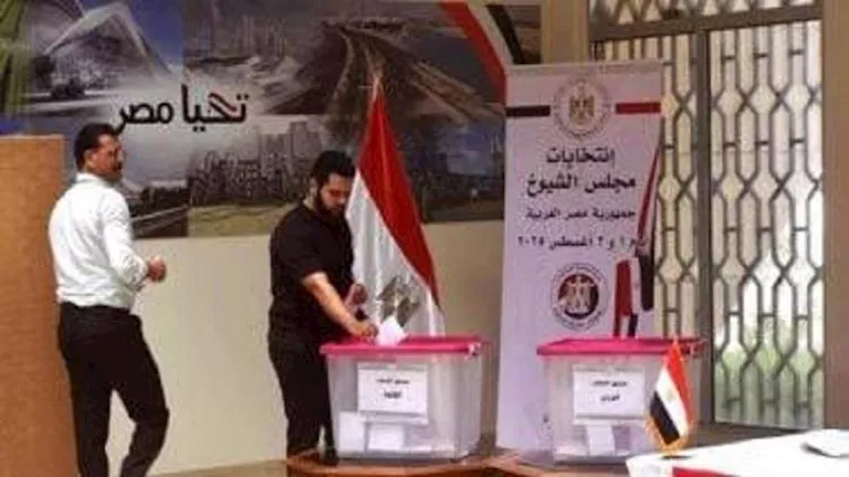 الوطنية للانتخابات: انطلاق تصويت المصريين في الخارج بالدوائر الملغاة ب