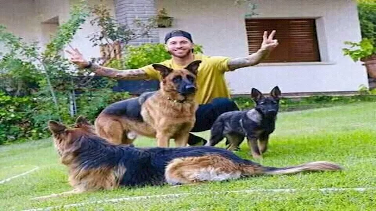 في اليوم العالمي للكلاب.. 20 صورة ترصد علاقة نجوم كرة القدم بحيواناتهم الأليفة 