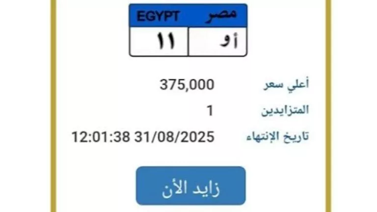 لوحة "أ و - 11" في مزاد المرور.. السعر يصل إلى 375 ألف جنيه