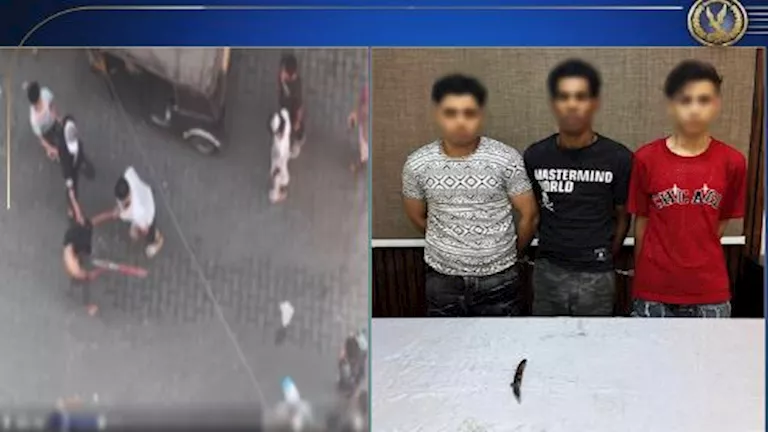 فيديو مشاجرة يثير الجدل.. الداخلية تكشف ما حدث في المنيرة الغربية ؟