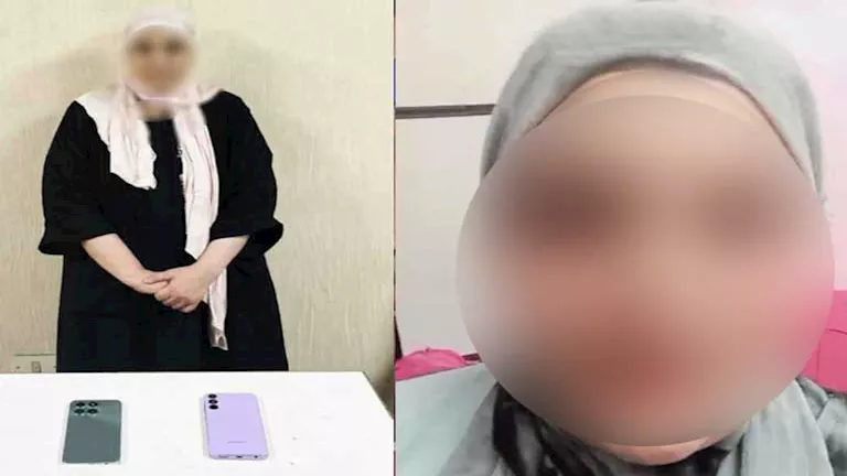 لماذا عاقبت الجنح "مروة بنت مبارك" المزعومة في قضية سب وفاء عامر؟ |حيثيات