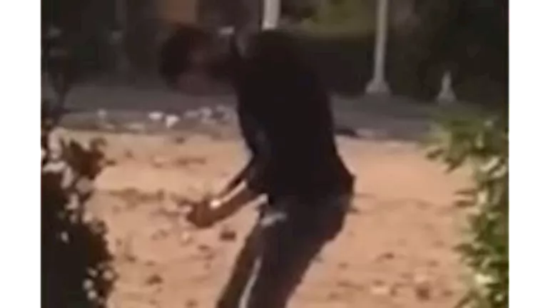 "نام وهو واقف".. فيديو صادم لشاب تحت تأثير المخدرات بالجيزة