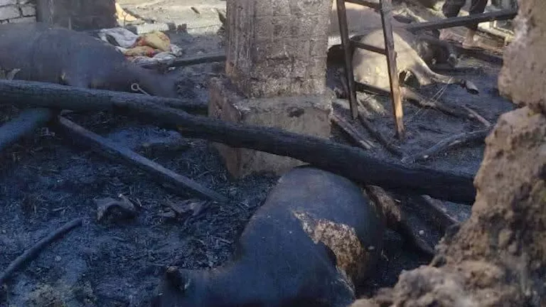 السيطرة على حريق في حظيرة مواشي جنوب بني سويف