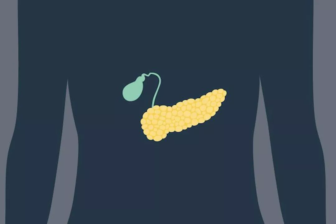 البنكرياس