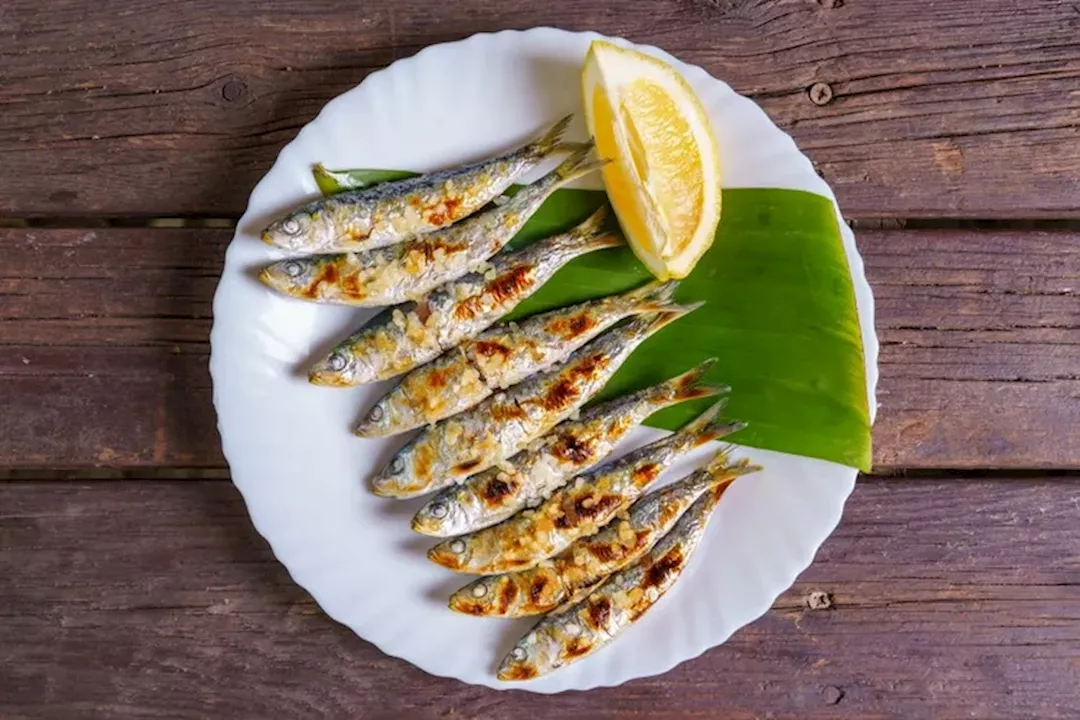 WhatsApp Image 2025-09-21 at 3.27.34 PM