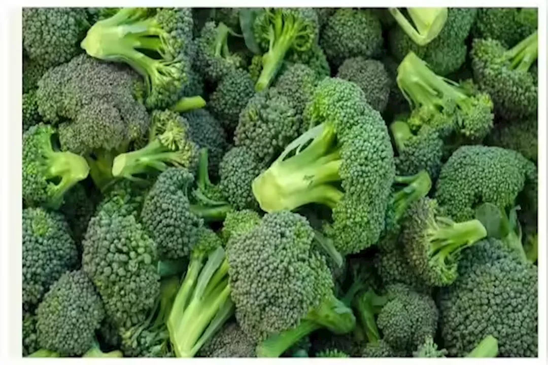 WhatsApp Image 2025-09-21 at 3.56.45 PM