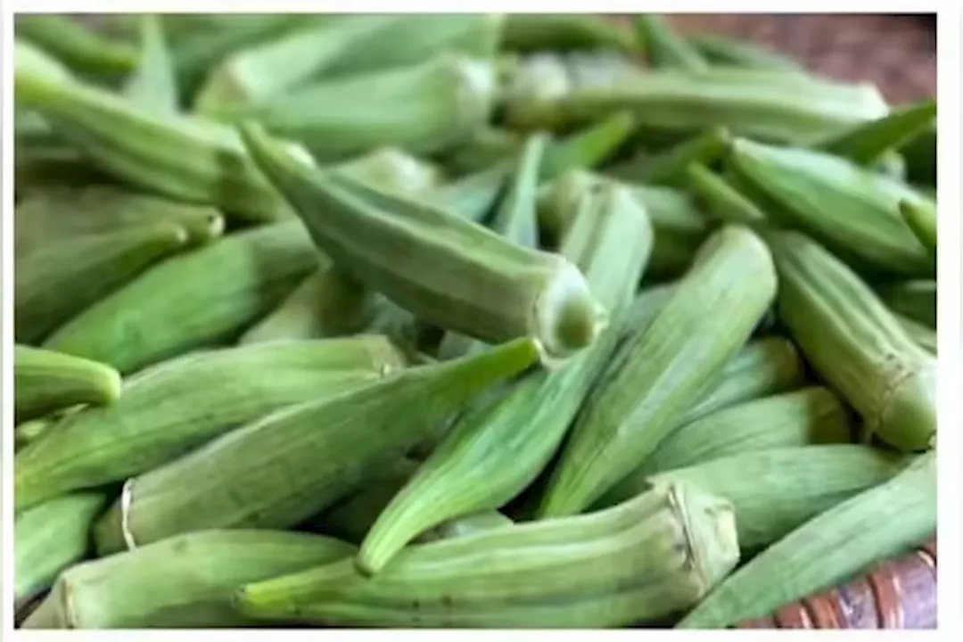 WhatsApp Image 2025-09-21 at 3.56.59 PM