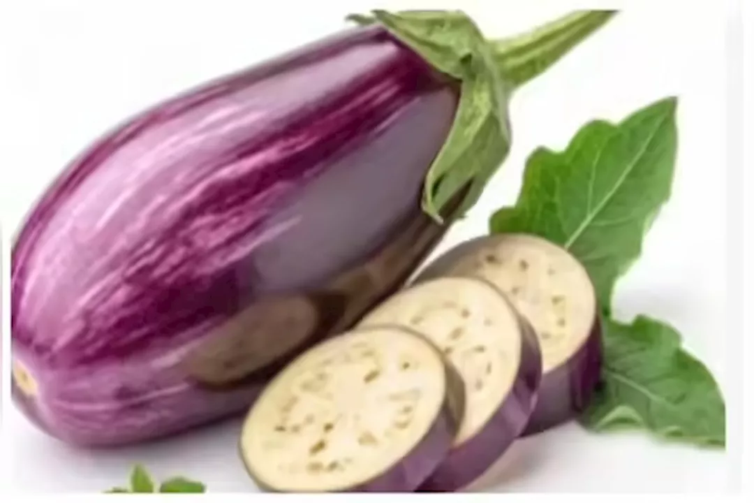 WhatsApp Image 2025-09-21 at 3.57.12 PM