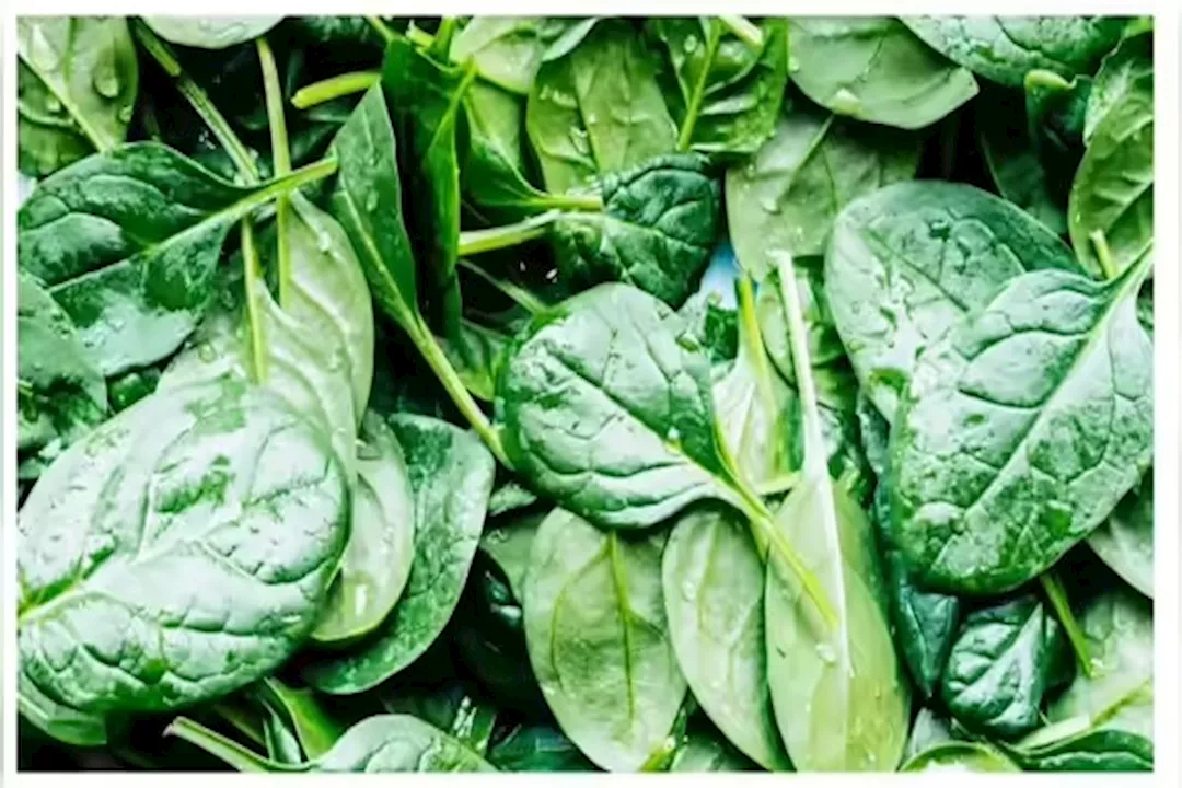 WhatsApp Image 2025-09-21 at 3.57.33 PM