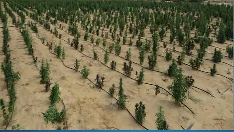 14 صورة لمزرعة الموت في الإسماعيلية.. ماذا وجدت الداخلية؟