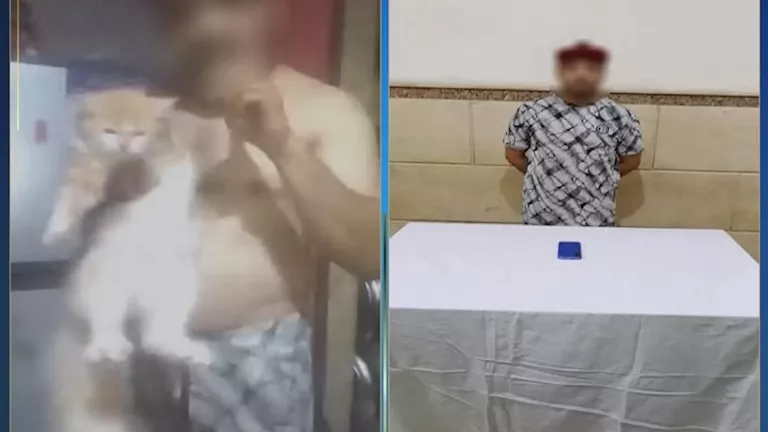 "عن طريق إيذاء القطط".. القبض على شخص ادعى توصله لعلاج السكري بالإسماعيلية