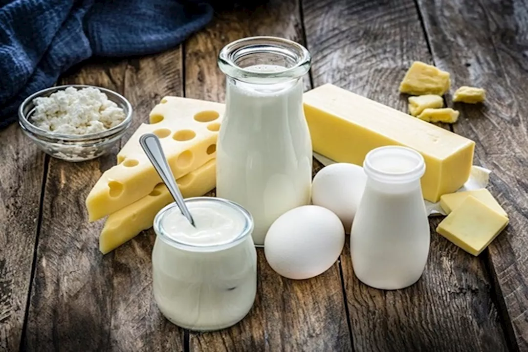 الأطعمة المتخمرة