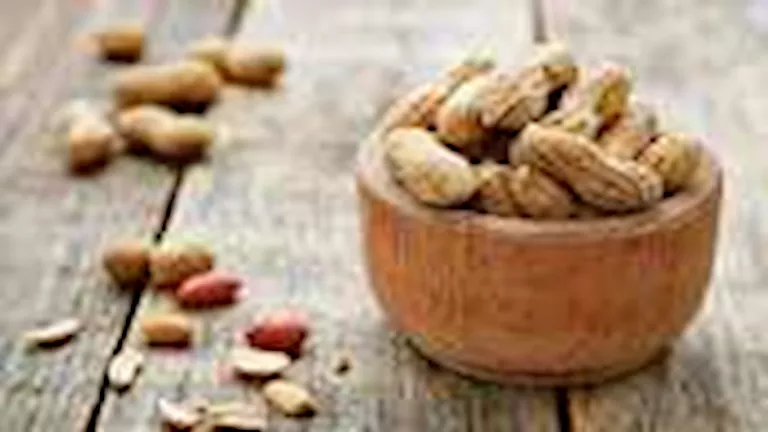 ماذا يحدث للمعدة عند تناول اللب والفول السوداني المُملح يوميًا؟ 