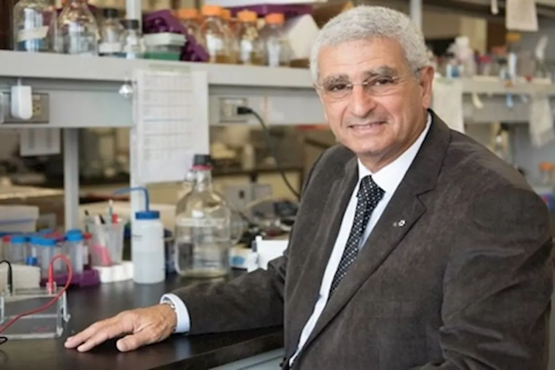 بعد فوزه بـ"نوابغ العرب"- صيدح يكشف مستقبل علاجات الكوليسترول ضد السرطان (حوار)