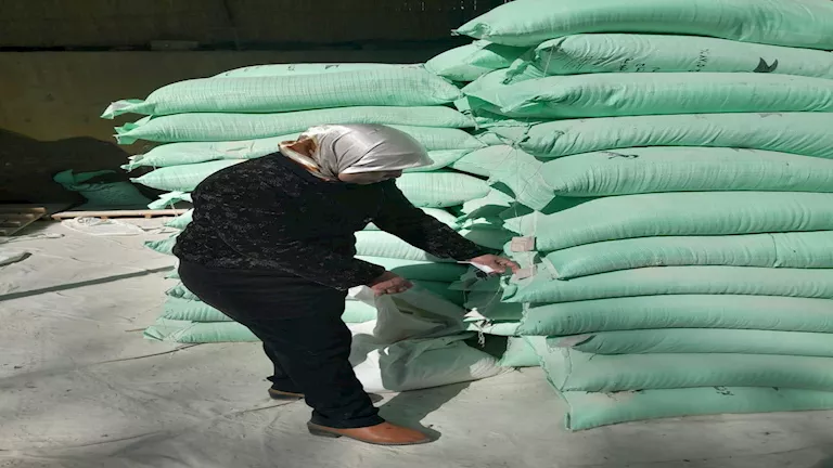 الداخلية تضبط 5 أطنان دقيق و3 ملايين جنيه في حملات تموينية وأمنية خلال