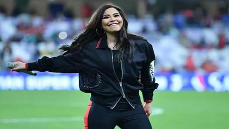 Sherin Abdel Wahab Brother Attacks Hossam Habib