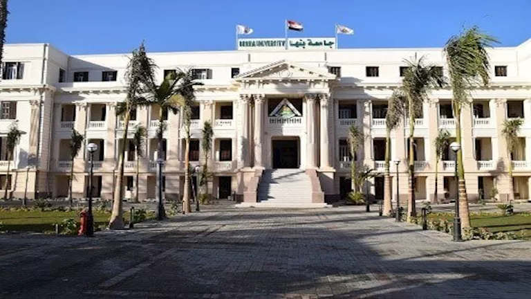 جامعة بنها تنظم ورشًا فنية للأطفال لتعزيز الإبداع خلال إجازة منتصف الع