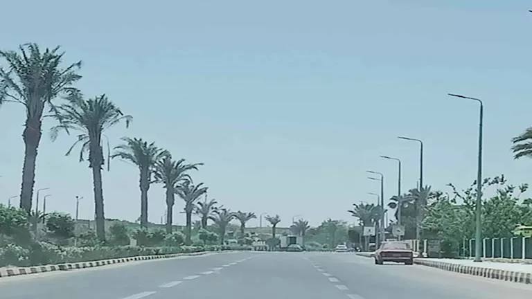 طقس الساعات المقبلة.. نشاط رياح وفرص لتكون الأتربة العالقة