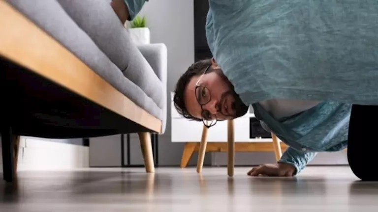 لماذا تختفي الأشياء وتظهر فجأة؟- خبيرة تكشف مفاجأة 