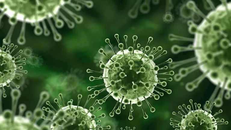 أشد من “كورونا” وليس له علاج.. ماذا نعرف عن فيروس نيباه المنتشر بالهند