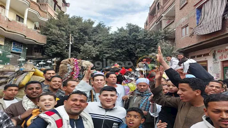 بالدفوف والجِمال.. موكب يجوب شوارع سوهاج احتفالاً بمولد أبو عمران -فيد